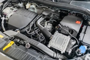 Índia aposta em gasolina com 85% de etanol; entenda os impactos