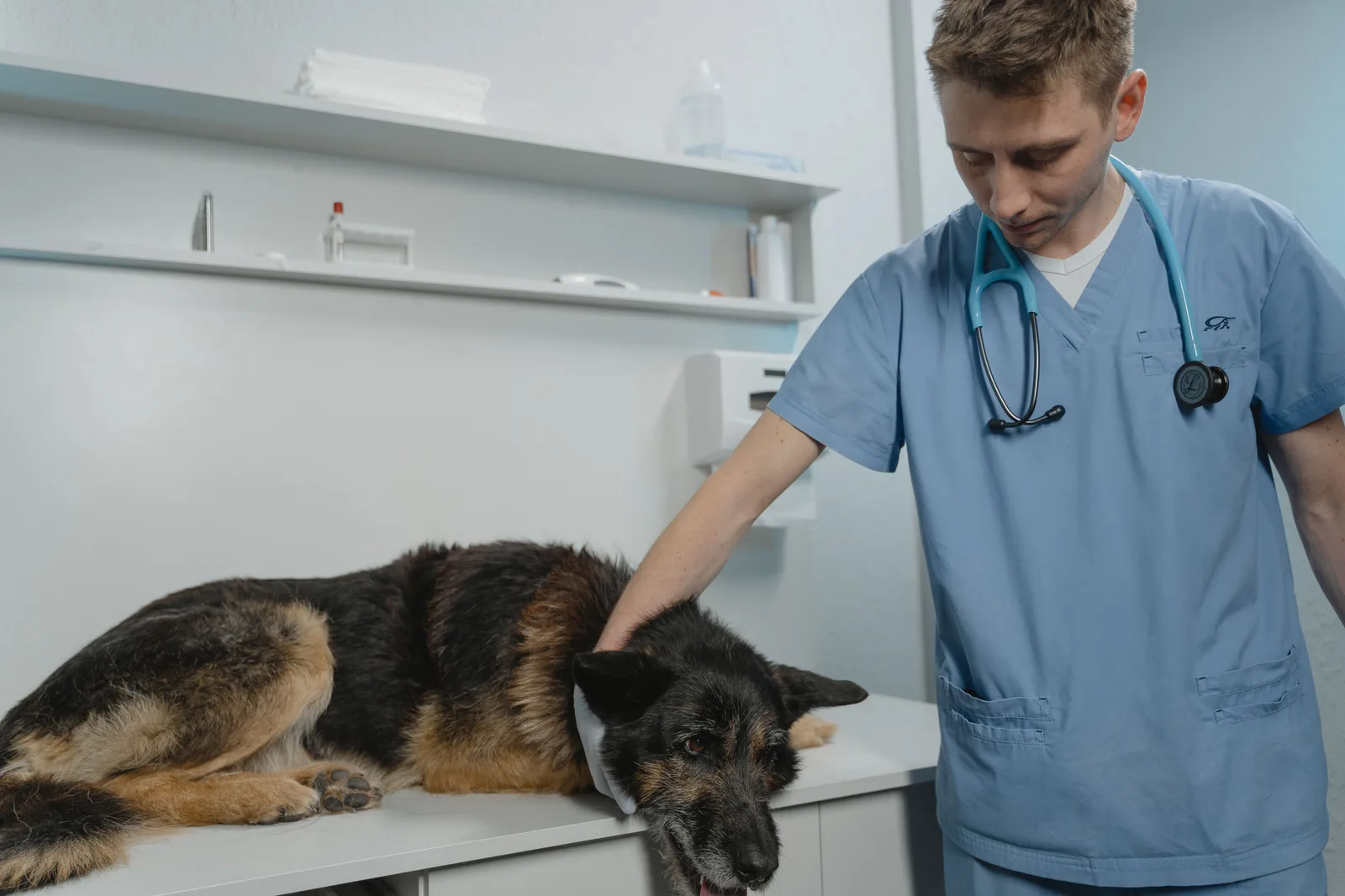CNAE 4644-3/02: atacadista de remédios veterinários