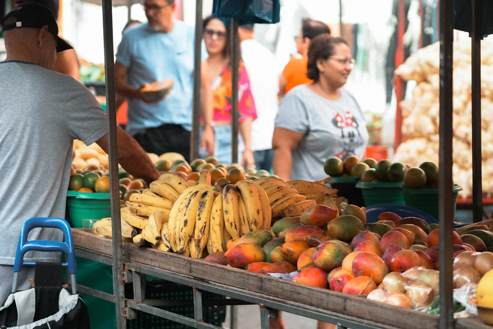 CNAE 1031-7/00: produção de compotas, doces e conservas de frutas