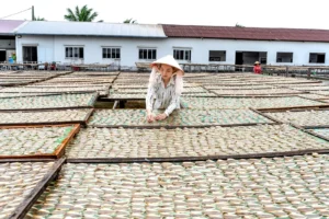 CNAE 1020-1/02: fabricação de conservas e pescados