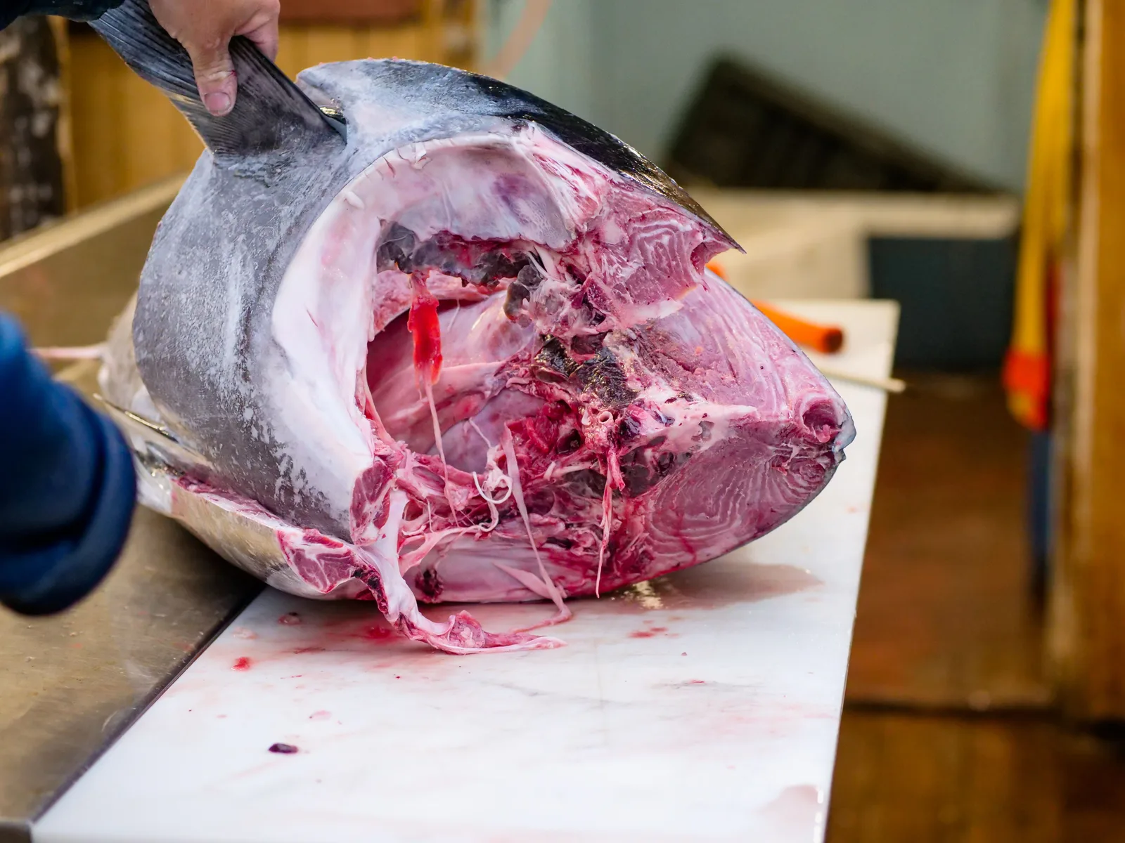 CNAE 1020-1/01: preservação de pescados, o que inclui?