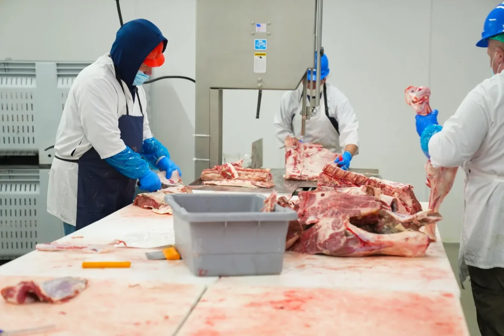 Operários cortando carne com serra fita em frigorífico industrial.
