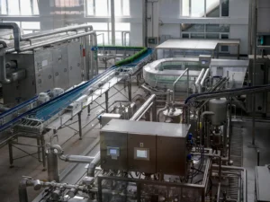 CNAE 1012-1/01: abate e processamento de aves