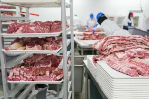 CNAE 1011-2/02: abate de equinos e produção de carne, o que inclui?