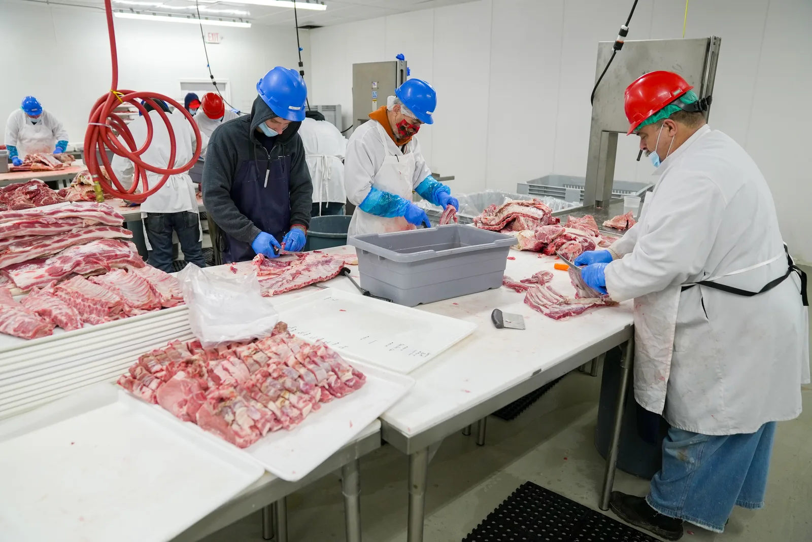 CNAE 1011-2/01: abate de bovinos e produção de carne