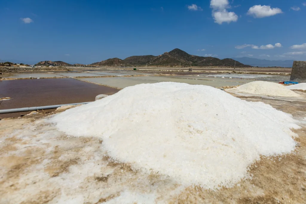 Monte de sal marinho recém-extraído com bacias de evaporação e montanhas ao fundo.