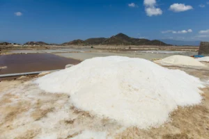 CNAE 0892-4/03: refino e preparação de cloreto de sódio