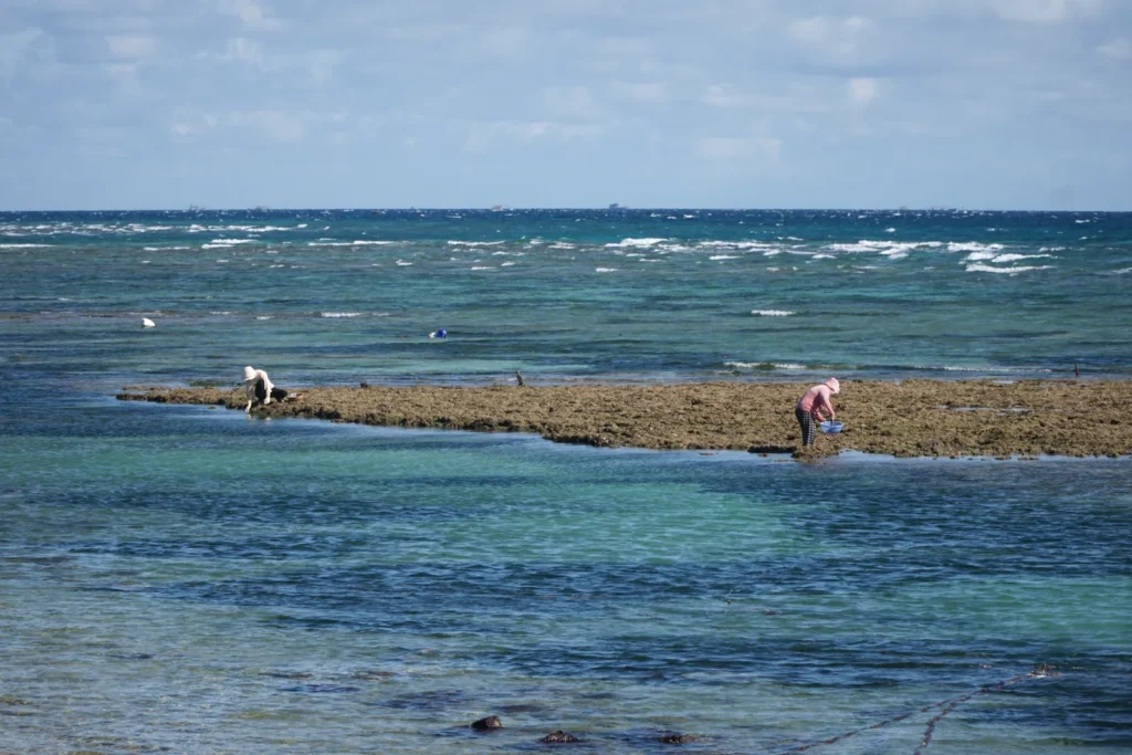 Pessoa colhendo recursos em banco de areia e algas em uma praia com mar azul.