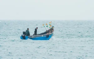 CNAE 0311-6/04: suporte especializado para pesca marinha