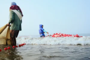 CNAE 0311-6/02: pesca comercial de crustáceos e moluscos