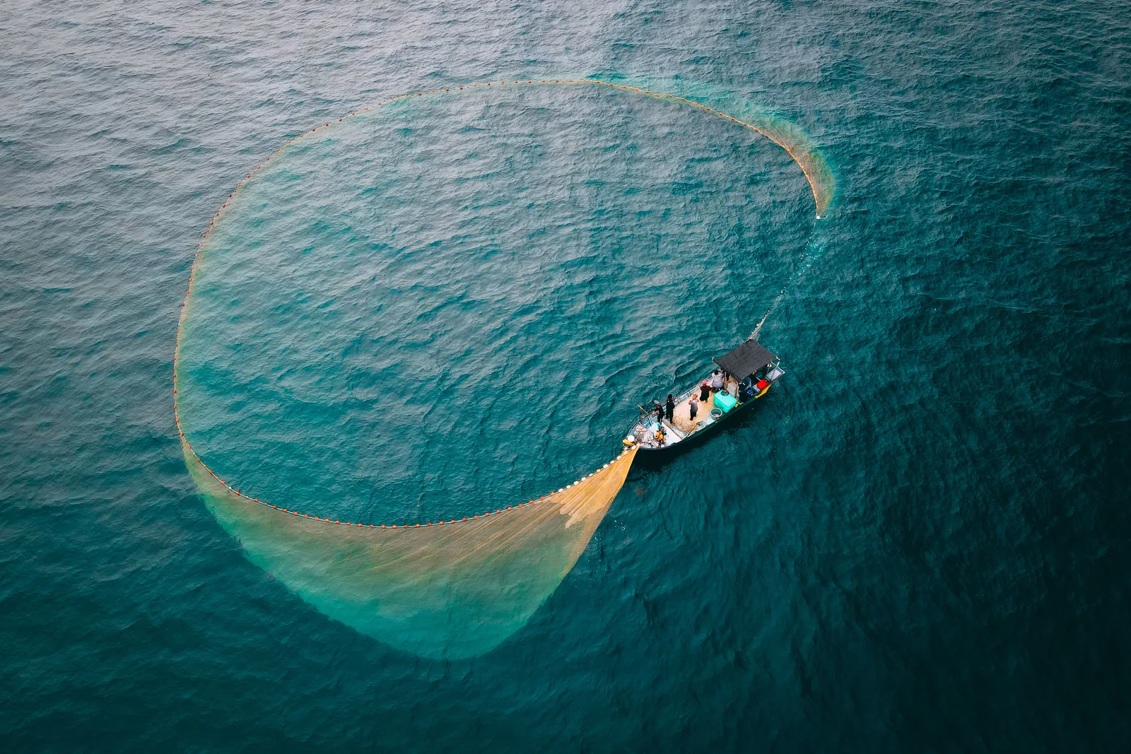 CNAE 0311-6/02: pesca comercial de crustáceos e moluscos