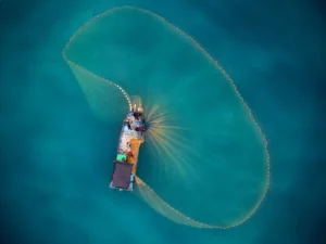 CNAE 0311-6/01: pesca marítima de peixes