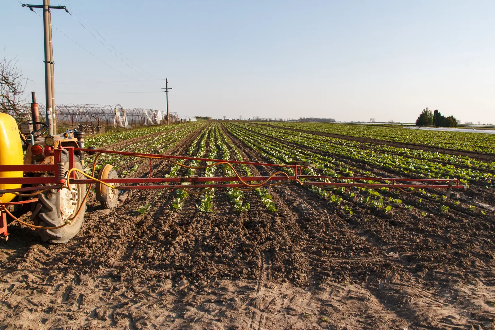 CNAE 0161-0/99: serviços de apoio e locação agrícola