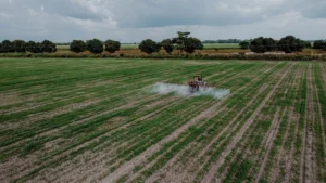 CNAE 0161-0/01: pulverização e controle de pragas agrícolas