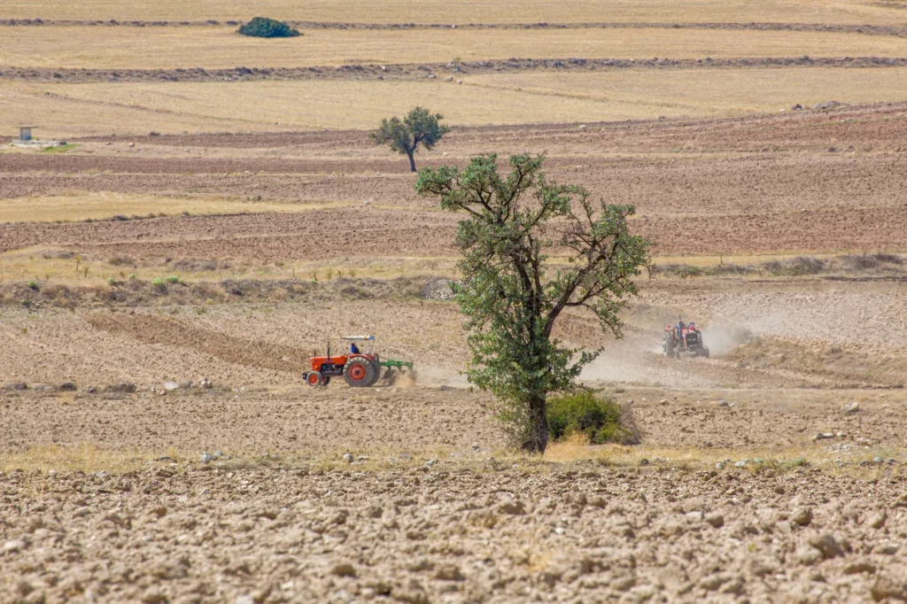 Tratores arando solo em campo agrícola com árvores