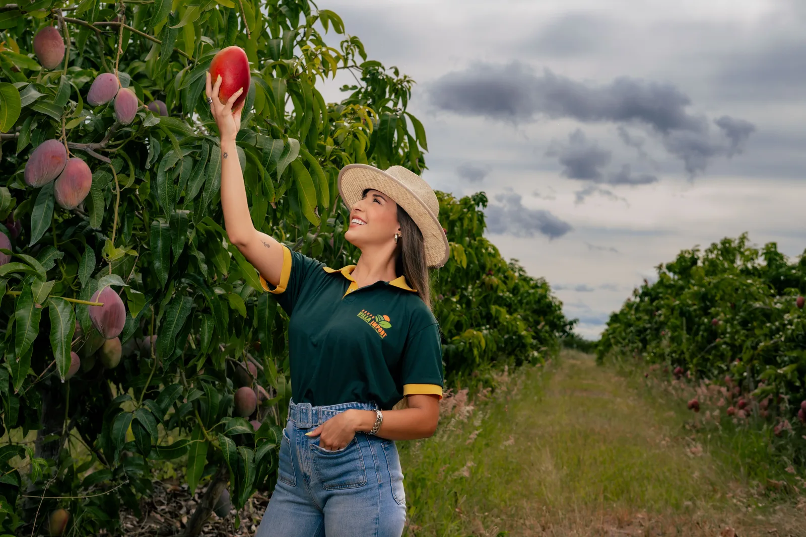 CNAE 0133-4/99: cultivo de frutas permanentes diversas