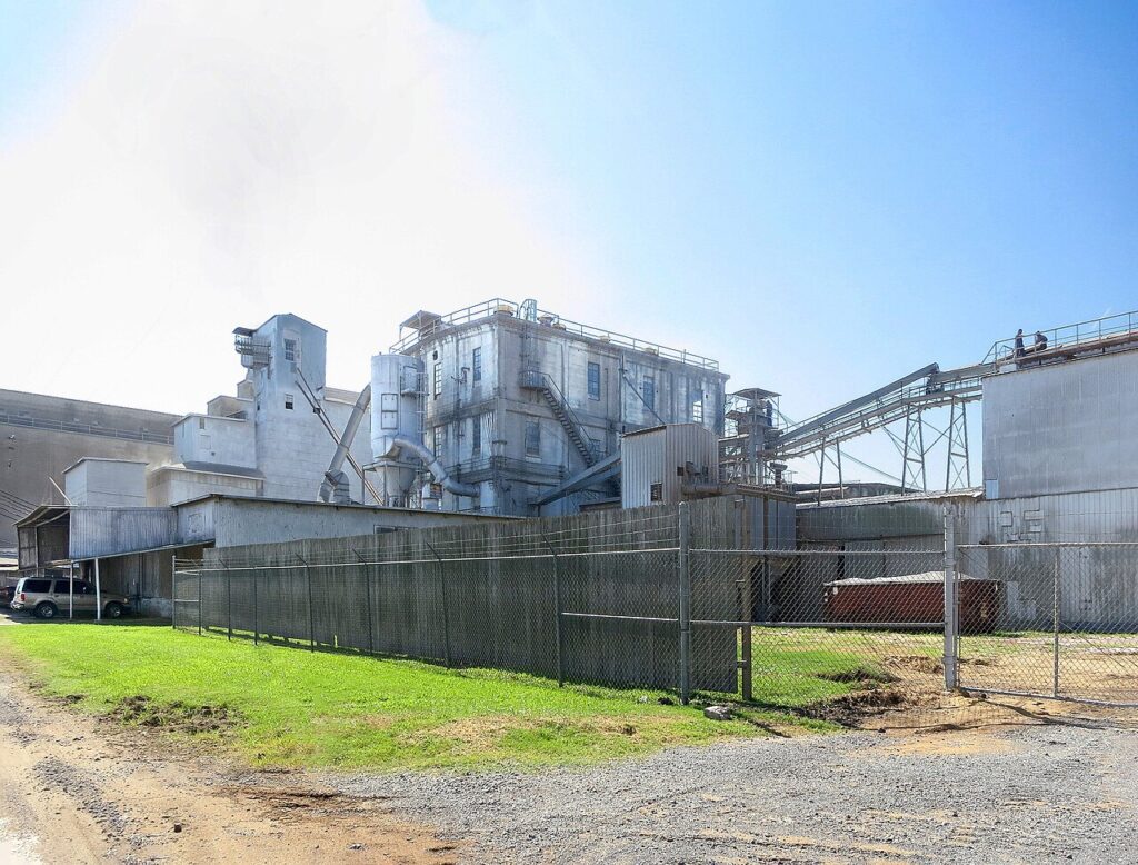 CNAE 1061-9/02: fabricação de produtos do arroz, o que inclui?