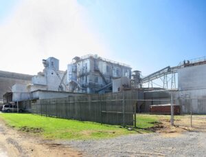 CNAE 1061-9/02: fabricação de produtos do arroz, o que inclui?