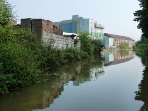 CNAE 1066-0/00: fabricação de ração animal, o que inclui?