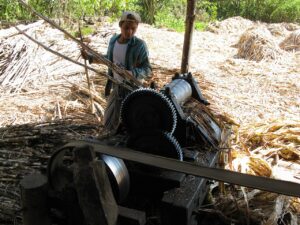CNAE 1071-6/00: fabricação de açúcar bruto e melado