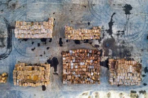 CNAE 3839-4/01: usinas de compostagem e adubo orgânico