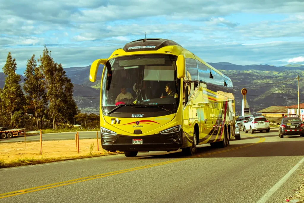 CNAE 4922-1/03: transporte internacional regular de passageiros
