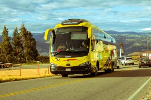 CNAE 4922-1/03: transporte internacional regular de passageiros