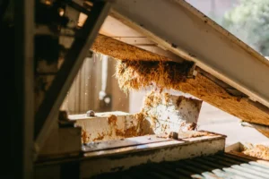 CNAE 1122-4/02: produção de chás prontos para consumo
