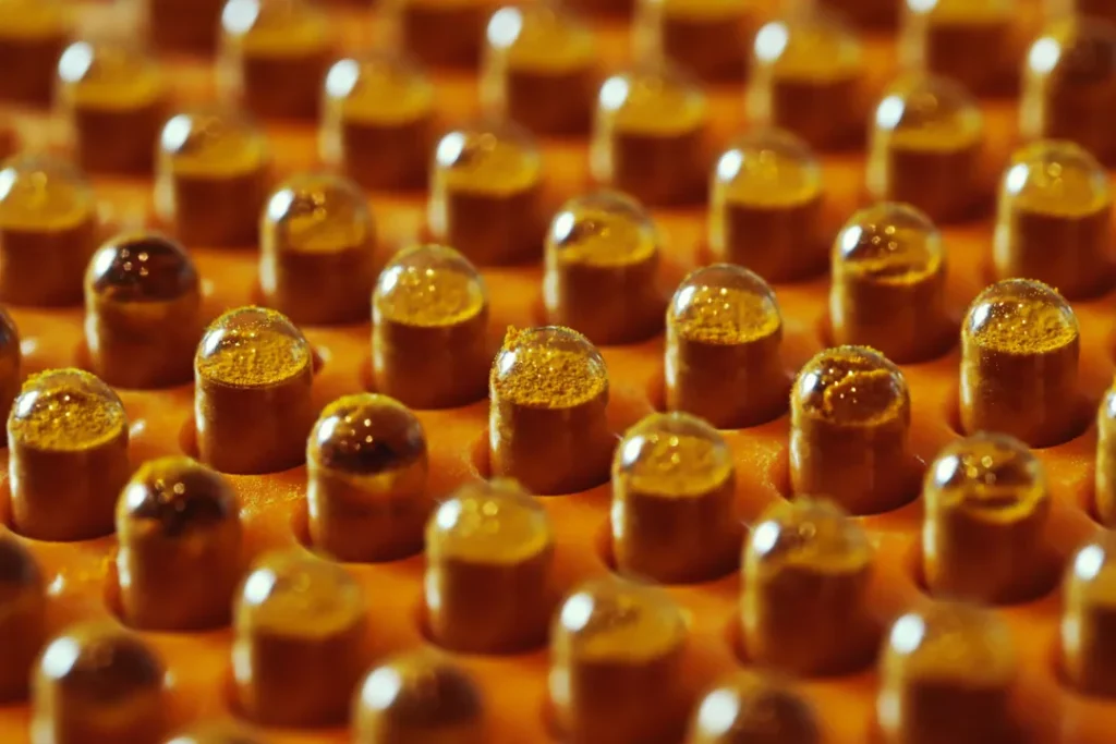 CNAE 1099-6/07: fabricação de alimentos dietéticos e suplementos