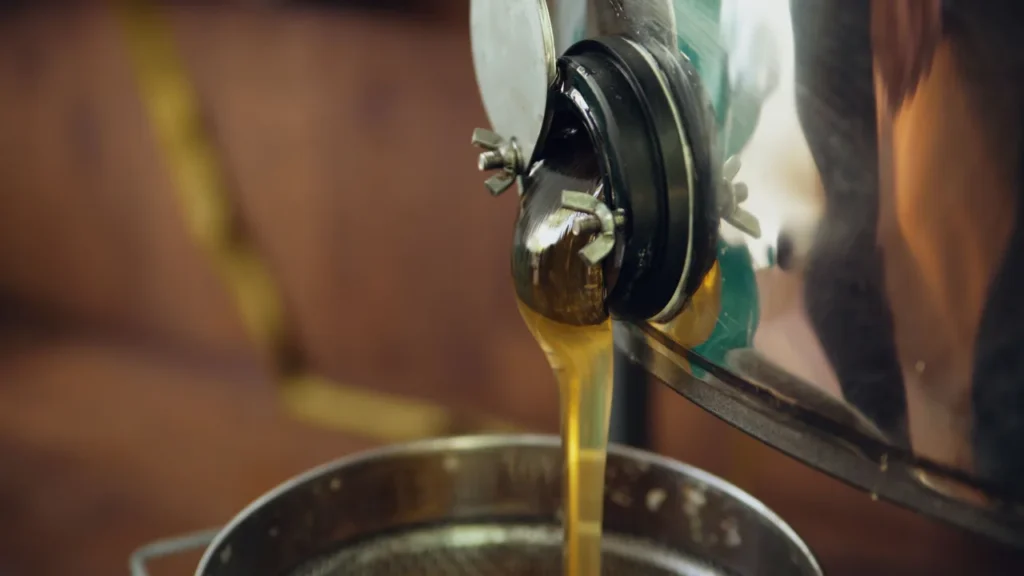 Indústria de alimentos produzindo adoçantes naturais em fábrica