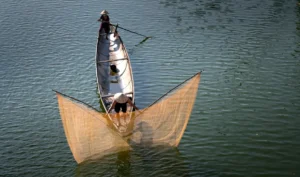 CNAE 0312-4/04: serviços de apoio à pesca em água doce
