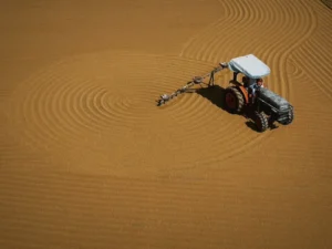 CNAE 0161-0/03: serviços de preparo, plantio e colheita