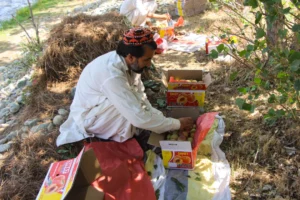 CNAE 0133-4/11: cultivo de pêssego, o que inclui?