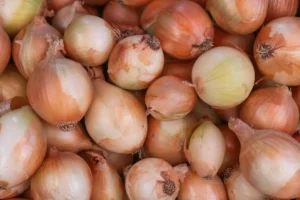 CNAE 0119-9/04: o cultivo de cebola, como funciona?