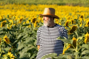 CNAE 0116-4/02: cultivo de girassol, o que inclui?
