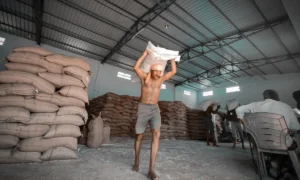 CNAE 4637-1/01: venda por atacado de café processado