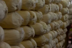 CNAE 4623-1/07: comércio atacadista de sisal