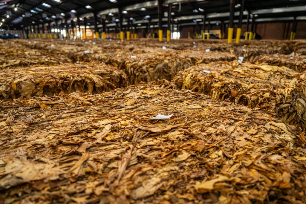 Fardos de fumo em folha crua armazenados em um galpão de comércio atacadista