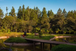 CNAE 9103-1/00: gestão de reservas e parques ecológicos