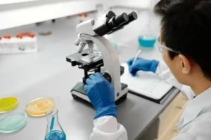 CNAE 8640-2/02: serviços de exames e análises clínicas