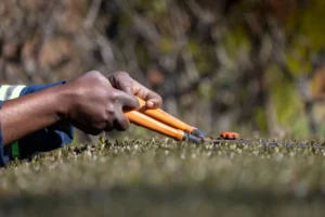 CNAE 8130-3/00: serviços de jardinagem e paisagismo