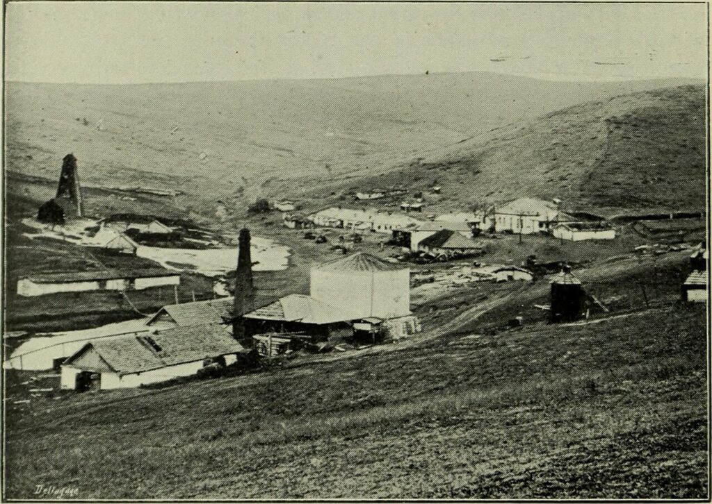 CNAE 2062-2/00: fabricação de produtos de limpeza e polimento