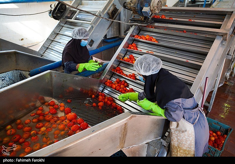 CNAE 2862-3/00: fabricação de máquinas para alimentos e bebidas